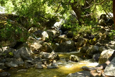 DSC_2271 (Large).JPG